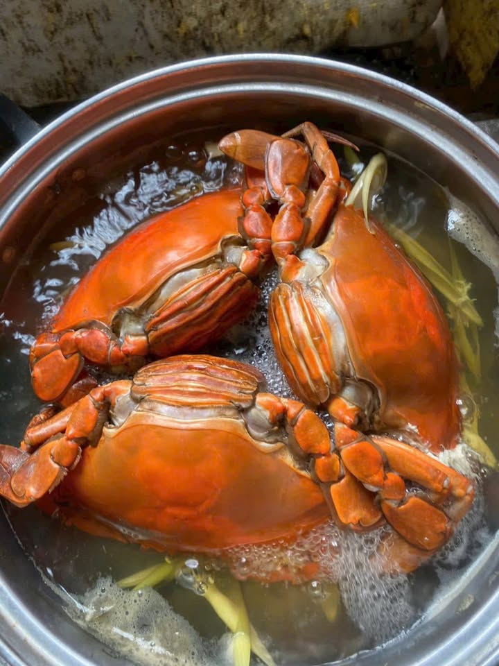 Nhà 54m² Phố Hòa Bình, Ninh Bình - 2 Tỷ, Ô tô Đỗ Cửa