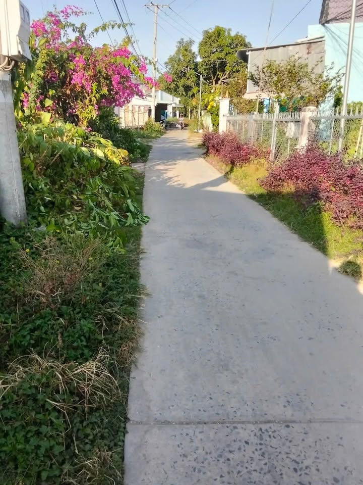 Bán Gấp Đất Vườn 12.000m² Mặt Tiền Lộ Đal Sóc Trăng - Giá Tốt