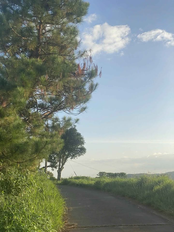 Đất nền Nam Ban, Lâm Hà 860m² - Sổ hồng chính chủ