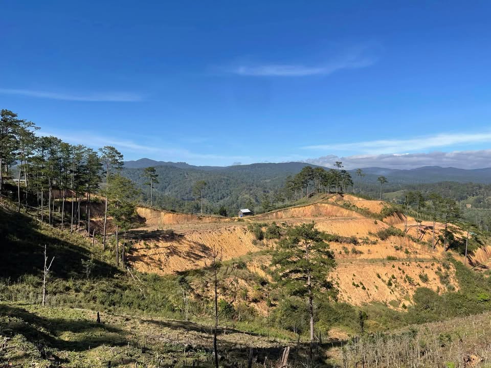 Đất nền Đạ Nghịt, Lâm Đồng 1.5ha - Tiềm năng tăng giá