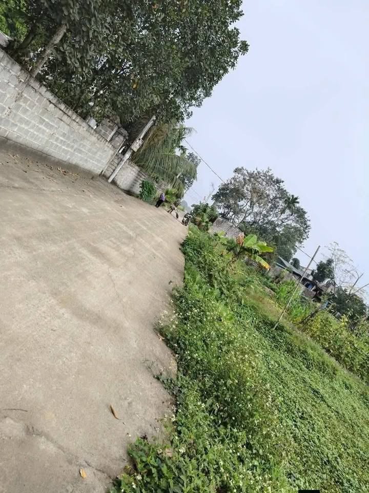 Đất nền Nho Quan 1002m² - Tiềm năng tăng giá vượt trội!