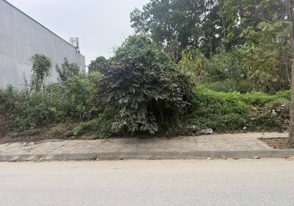 Đất nền Tam Nông, Phú Thọ 100m² - Tiềm năng tăng giá vượt trội!