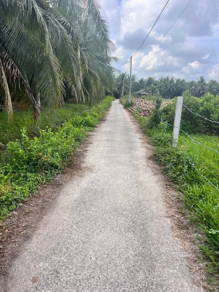 Đất nền Xã Châu Hưng Bến Tre 400m² - Pháp lý rõ ràng!