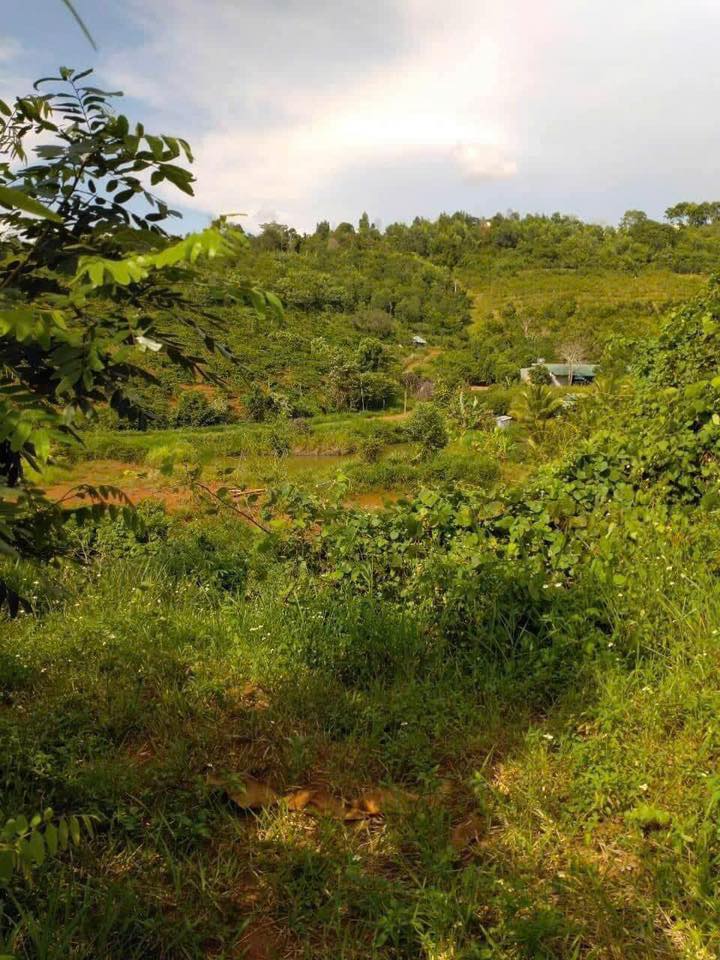 Đất nền Nghĩa Đức, Đắk R'lấp 400m² - Đất thổ cư 100%, giá 1.05 tỷ