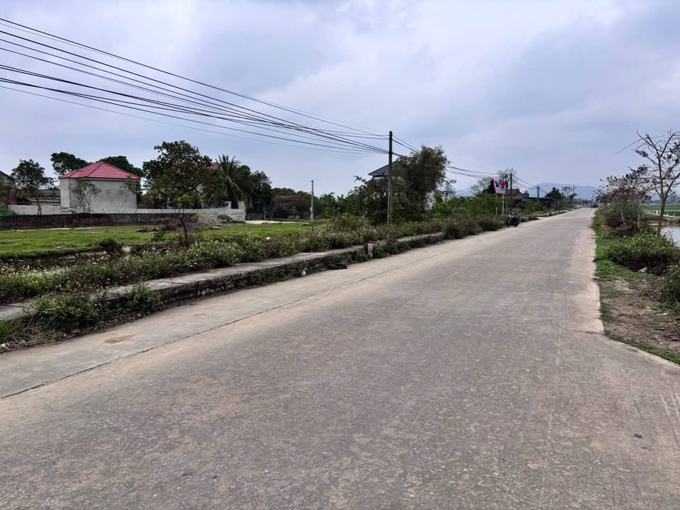 Đất Vàng Hậu Lộc 2546m² Mặt Tiền 80m - Đầu Tư Sinh Lời