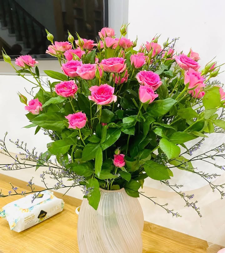 Đất nền Hòa Phước 150m² - Đất thổ cư 100%, xây dựng tự do!