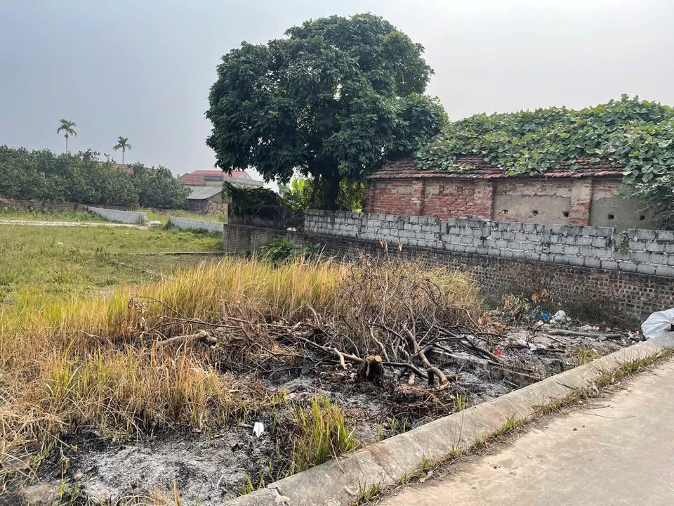 Bán đất TDP Du Long, Hà Nam 65m² - Giá dưới 1 tỷ, ô tô vào nhà