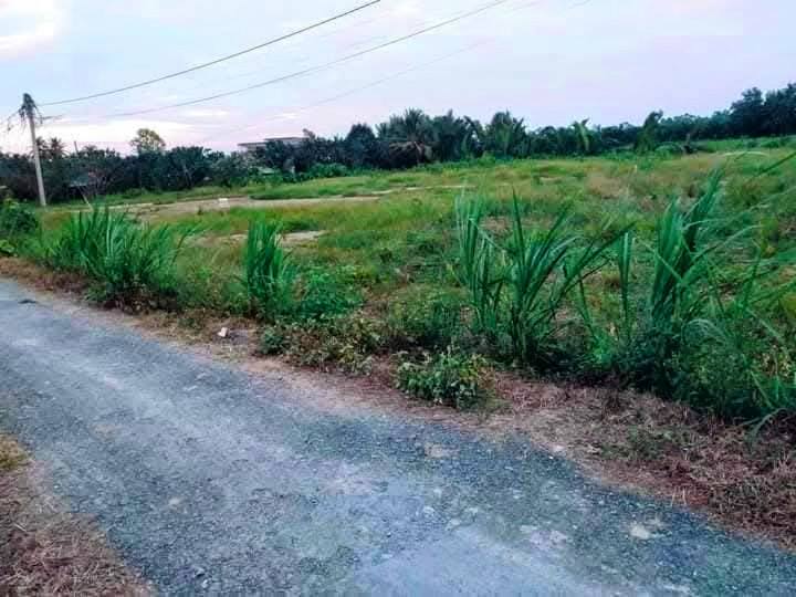 Đất Nền Vĩnh Long 125m² Giá 260 Triệu - Xả Lỗ Sẵn Sổ