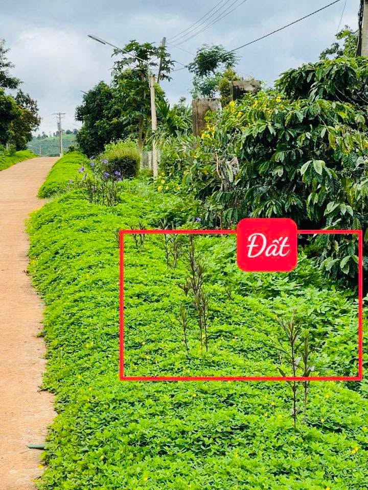 Đất nền Ea Tân, Krông Năng 636m² giá 399 triệu - Tiềm năng tăng giá mạnh!