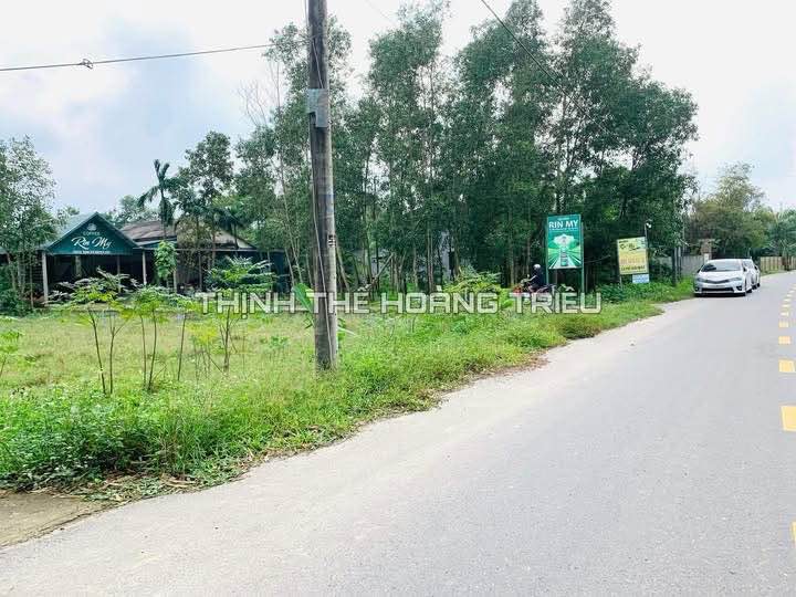 Đất Mặt Tiền Tân Sở, Đông Hà - 96.5m² Giá Tốt, Kinh Doanh Đắc Lợi