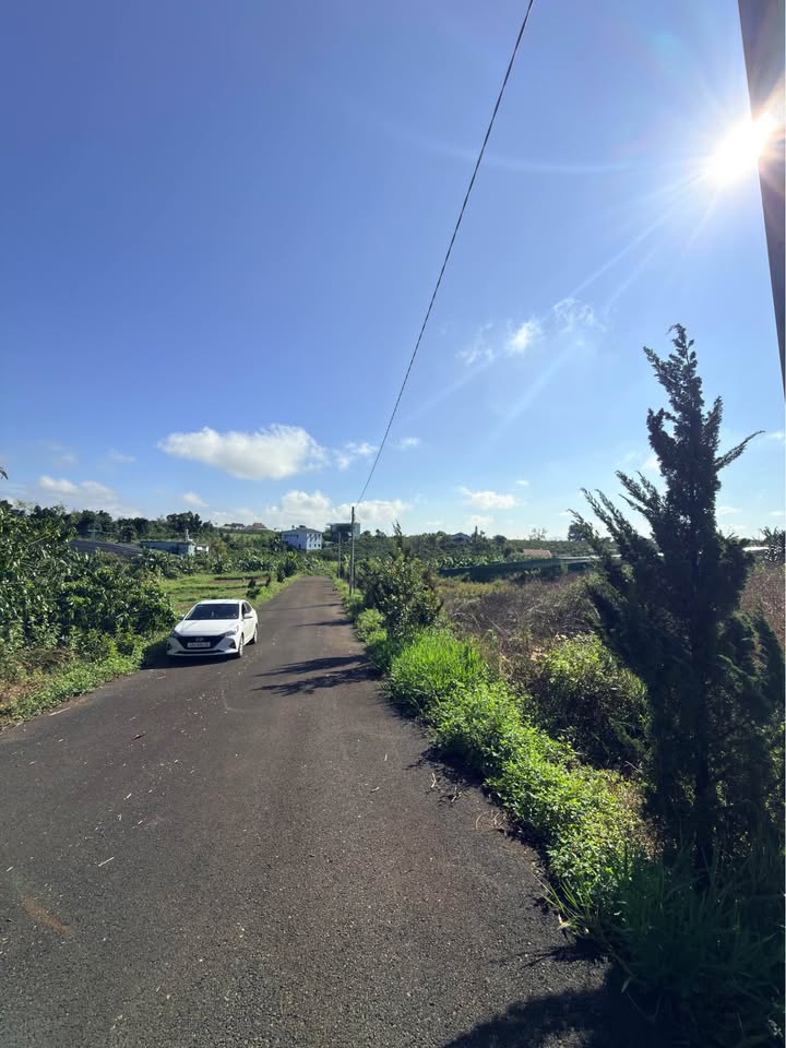 Đất Full Thổ Cư 114m² Nguyễn Văn Cừ, Bảo Lộc - Chỉ 999 Triệu