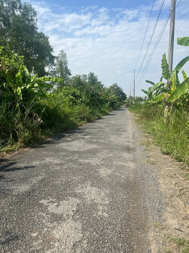 Đất Thổ Cư 784m² Mặt Tiền Lộ Nhựa Tân Phú Đông, Sa Đéc - Sẵn Sổ Hồng