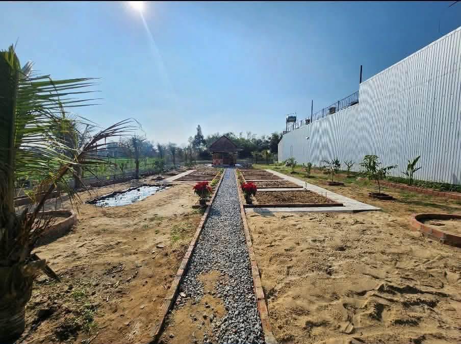 Đất nền Hòa Xuân Đà Nẵng 190m² - View Ruộng Xanh Mát, Ô Tô Tránh