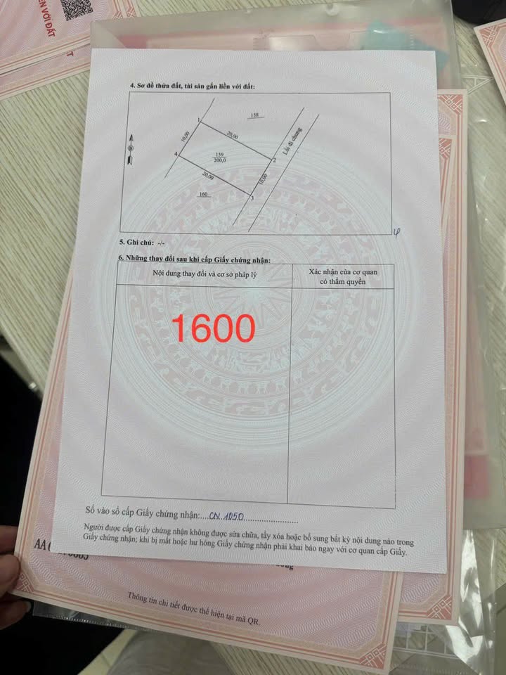 Đất Nền Tuyên Quang 200m² (10x20m) - Hướng Đông Nam, Sẵn Sổ Hồng