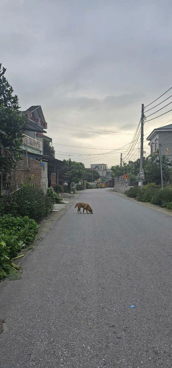 Đất nền An Tường, Tuyên Quang 140m² chỉ 1 tỷ - Tiềm năng tăng giá vàng!