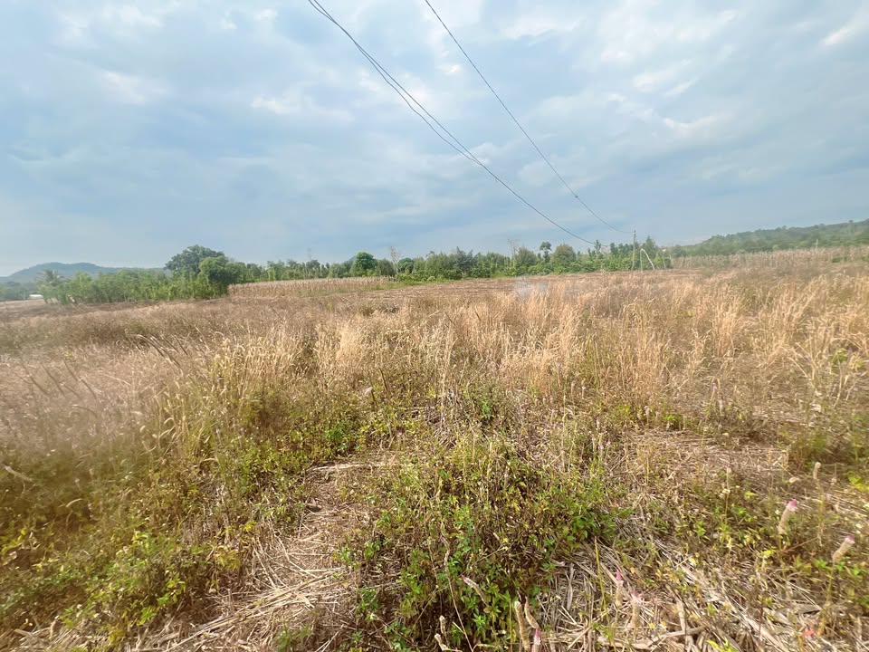 Đất Nền Cư M'gar Đăk Lăk - 345m² Sổ Đỏ Sẵn Sàng Giao Dịch