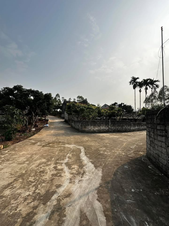 Đất Vườn Hồng Kỳ Yên Thế 600m² - Nghỉ dưỡng lý tưởng!