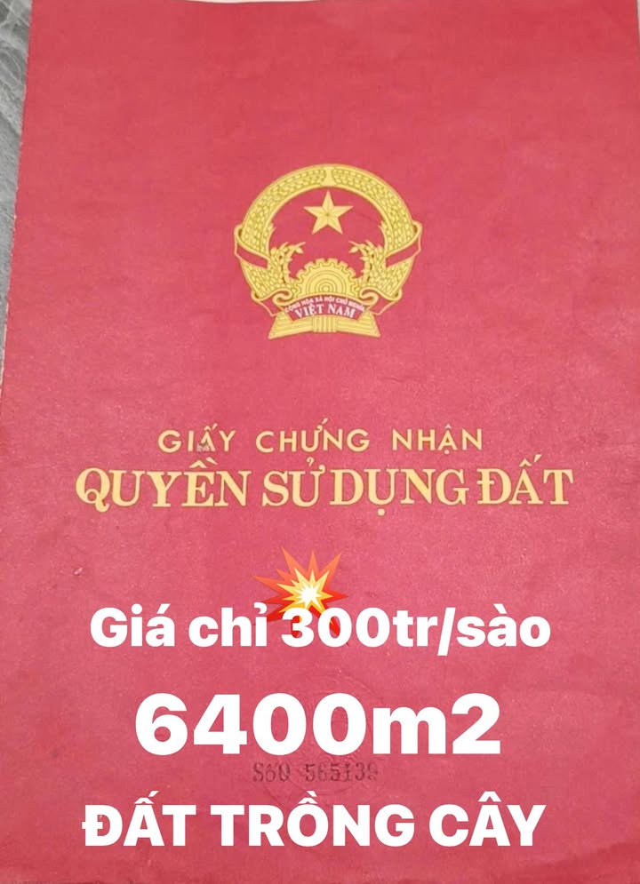 Bán đất 6400m² Hoà Lạc - An cư lý tưởng, sổ đỏ sẵn sàng