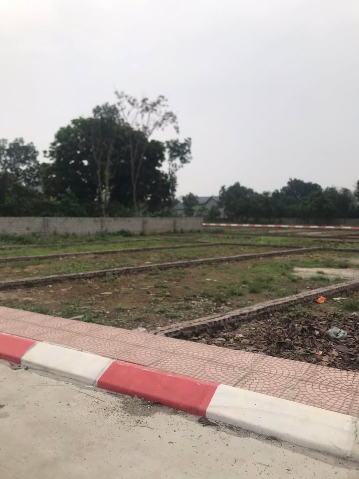 Đất nền góc 2 mặt tiền Xuân Linh, Thanh Xuân - 86m² - Sổ đỏ sẵn sàng