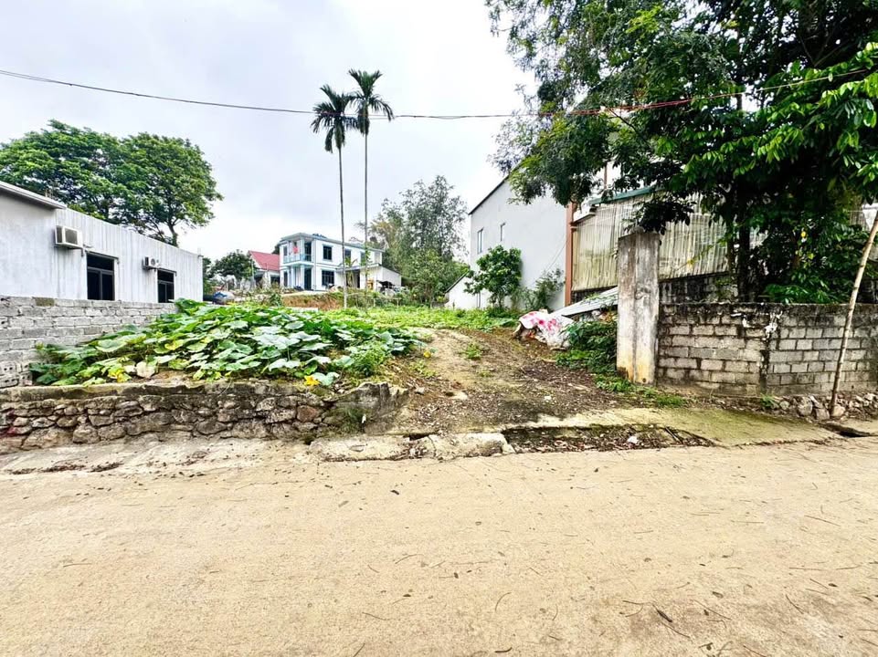 Bán Đất Liên Sơn, Lương Sơn 365m² - Sổ Đỏ Sẵn Sàng, Giá Đầu Tư