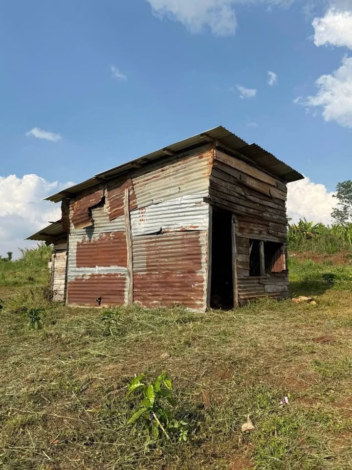 Đất Vườn Ea Ral, Đắk Lắk - 3600m² Sổ Hồng, Giá 850 Triệu