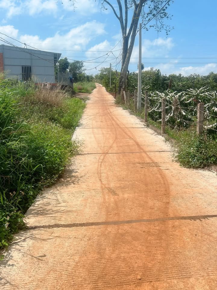 Bán Đất Thổ Cư 500m² Ea H'leo, Đắk Lắk - Sổ Đỏ Rõ Ràng, Giá 650 Triệu