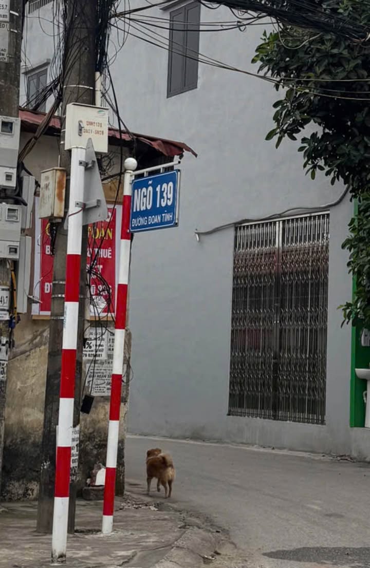 Đất nền góc 118m² Hải Yên, Móng Cái - Hơn 1 tỷ, gần chợ, trường