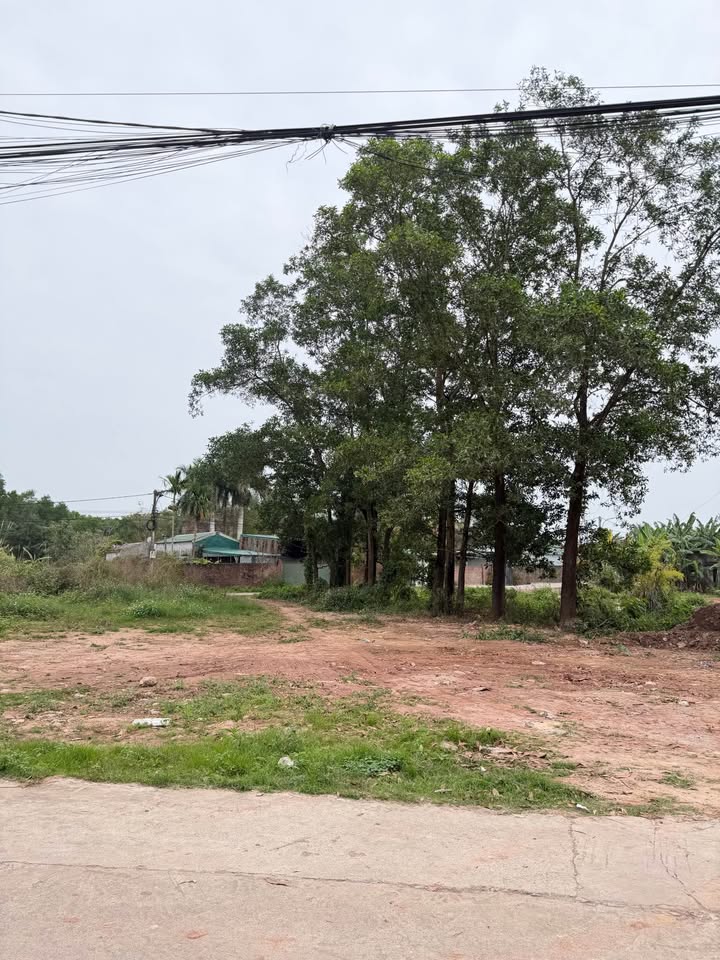 Đất Gốc Mít Móng Cái 108m² - Sổ Đỏ Chính Chủ, Giá Đầu Tư