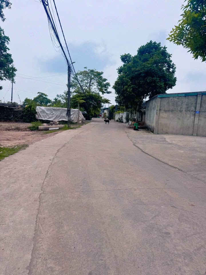 Đất nền Hải Yên Móng Cái 118m² - Tiềm năng tăng giá vượt trội!