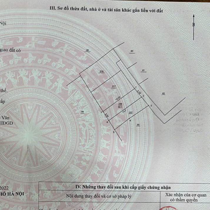Đất Nền 50m² Thiên Đông Mỹ Hưng - Sổ Đỏ Sẵn Sàng, Giá Đầu Tư
