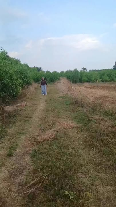 Đất nền Lâm San, Cẩm Mỹ 5600m² - Sổ đỏ chính chủ, giá tốt!