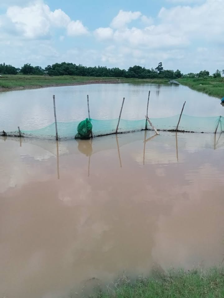 Đất nền Mỹ Long Nam, Cầu Ngang 12.800m² - Hạ tầng hoàn thiện!