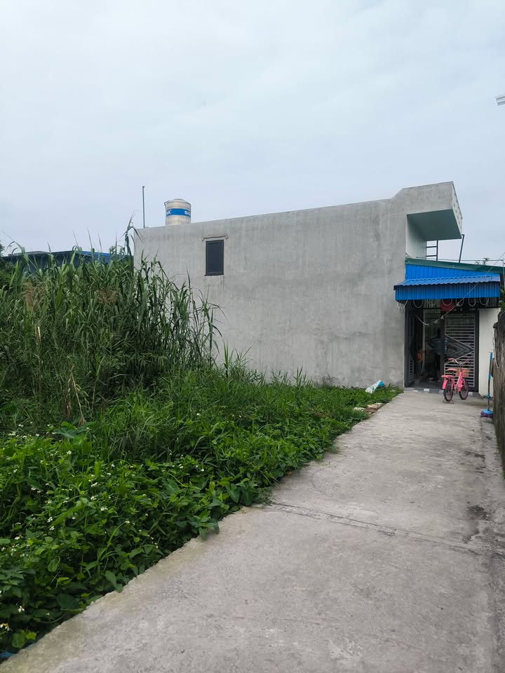 Đất Lộc Hòa Nam Định 46m² - Vuông vắn, hướng Bắc, giá tốt