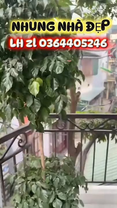 Nhà 3 Tầng 64m² Mặt Tiền Kinh Doanh - Ngay Chợ Văn Điển, Thanh Trì