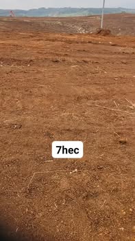 Bán Gấp 7 Héc Đất Vườn Đăk Mil, Lâm Đồng - Mặt Tiền Đường Bê Tông