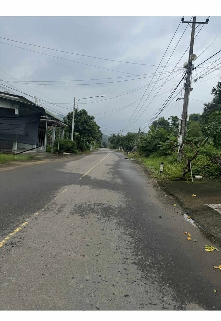 Đất Nền 1540m² Mặt Tiền Đường Thôn 2 Madagui - Đầu Tư Sinh Lời