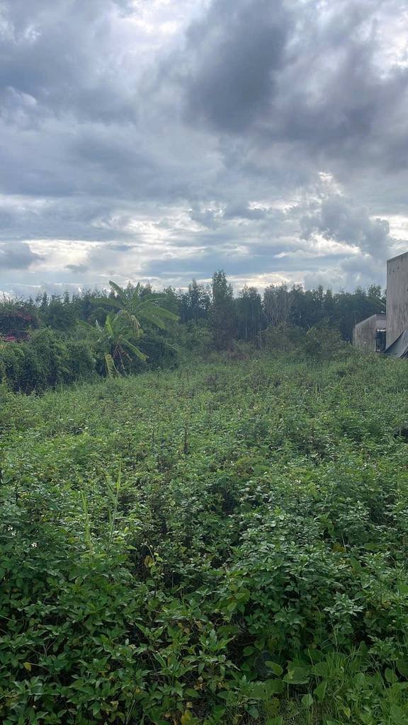 Nhà phố An Hạ Bình Chánh 282m² 3.75 tỷ - Mặt tiền kinh doanh đắc địa!