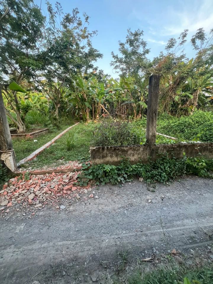 Đất nền Tân Quý Tây Bình Chánh 121m² giá 1.8 tỷ Sổ đỏ chính chủ