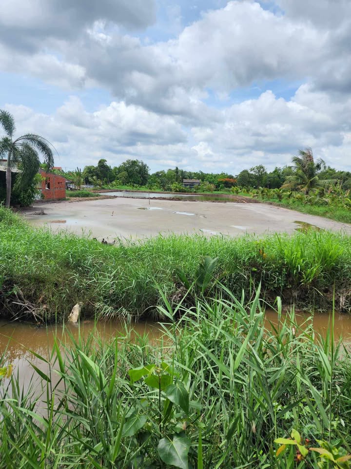 Bán đất Vĩnh Long 2633m² nở hậu - Gần Đình Đầu Trâu 880 triệu