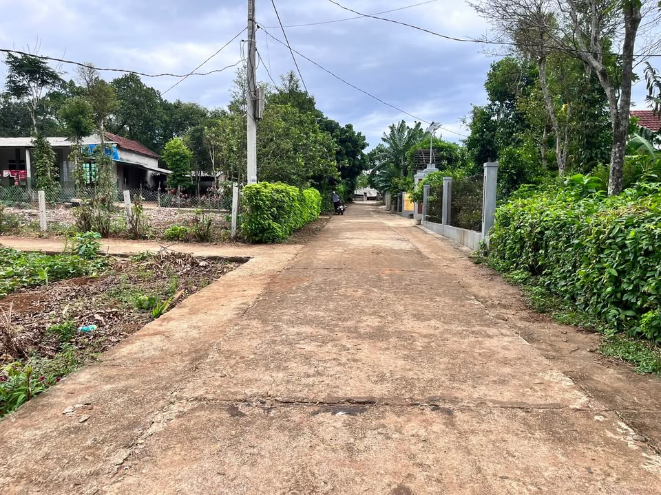 Đất nền Thủy Trung - Cửa Tùng, Quảng Trị: 206m² - Sổ hồng sẵn, giá chỉ 2xx triệu