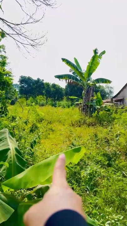 Bán Đất Sông Hinh 350m² Thổ Cư - Sẵn Sàng Xây Dựng