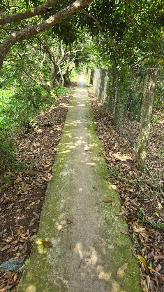 Đất Vườn An Bình 2000m² giá 980 triệu - Sinh thái xanh, tiềm năng tăng giá!