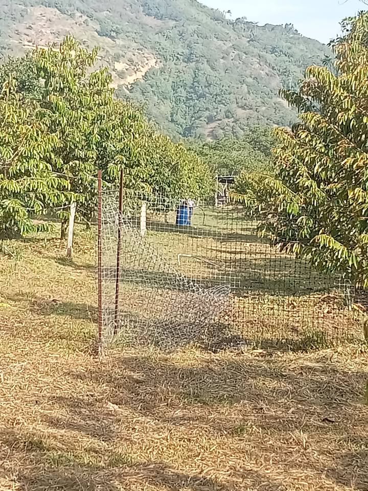 Đất nền Quốc Oai, Đạ Huoai 10.800m² 950 triệu - Tiềm năng tăng giá!