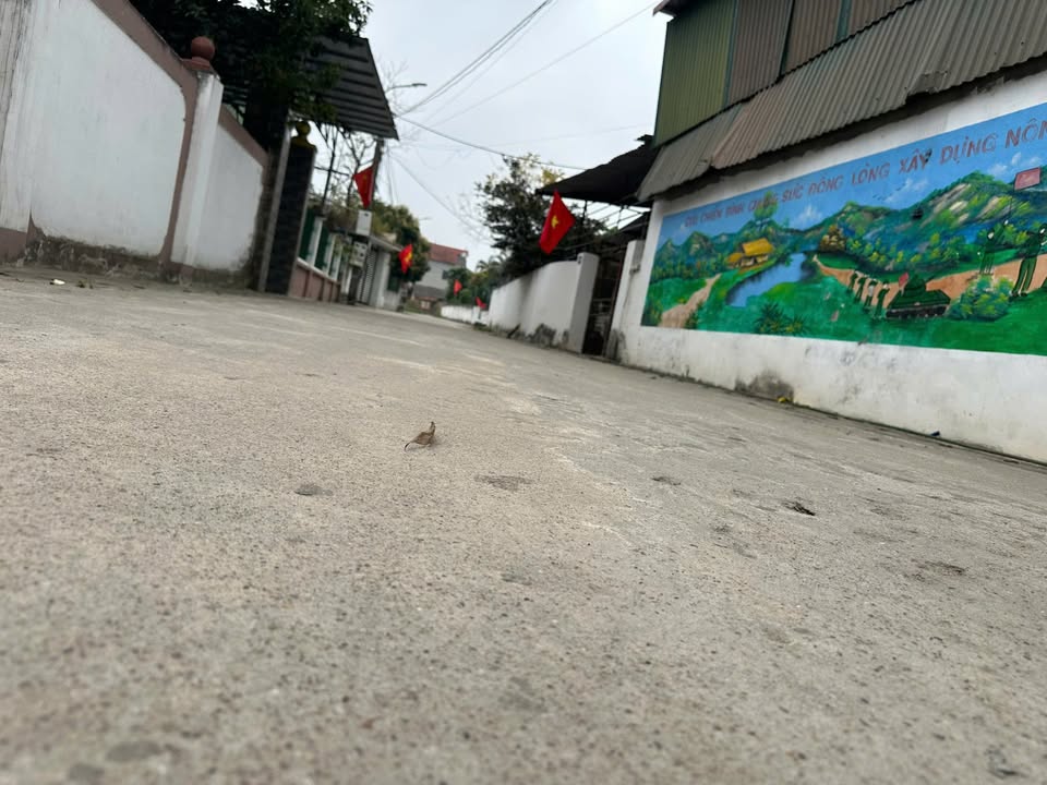 Đất Vĩnh Phúc 180m² - Sổ Đỏ Riêng, Giá Đầu Tư 1 Tỷ X