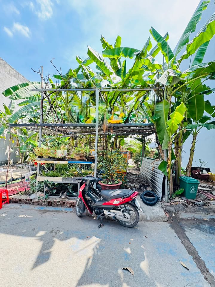 Đất nền Thủ Đức 52m² - Tiềm năng tăng giá vượt trội!