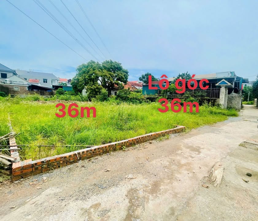 Đất nền Tràng An Chương Mỹ 36m² giá nhỉnh 3 tỷ - Đường to ô tô