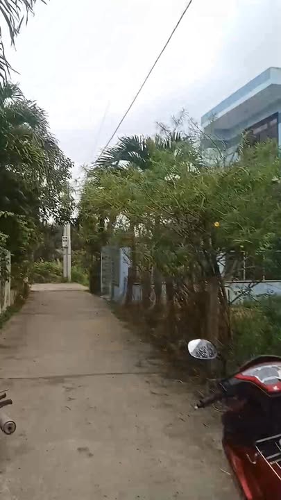 Đất nền Hội An 113m² - Sẵn sàng xây dịch vụ lưu trú cao cấp