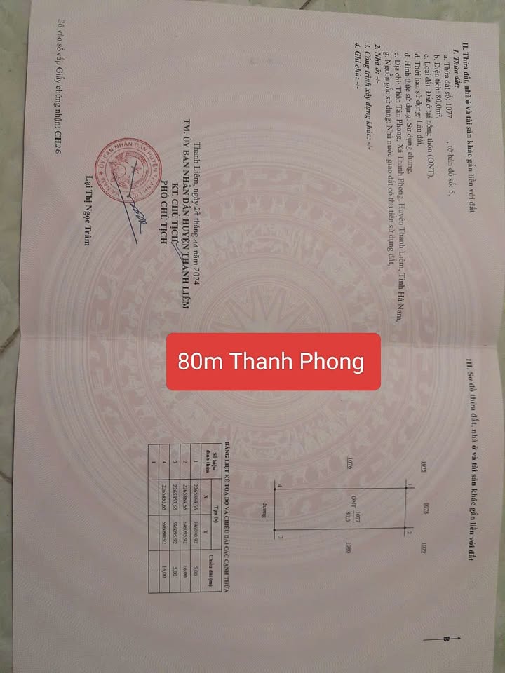 Đất nền Thanh Phong, Thanh Liêm 80m² - Vỉa hè rộng, Giá chỉ 1.6 tỷ