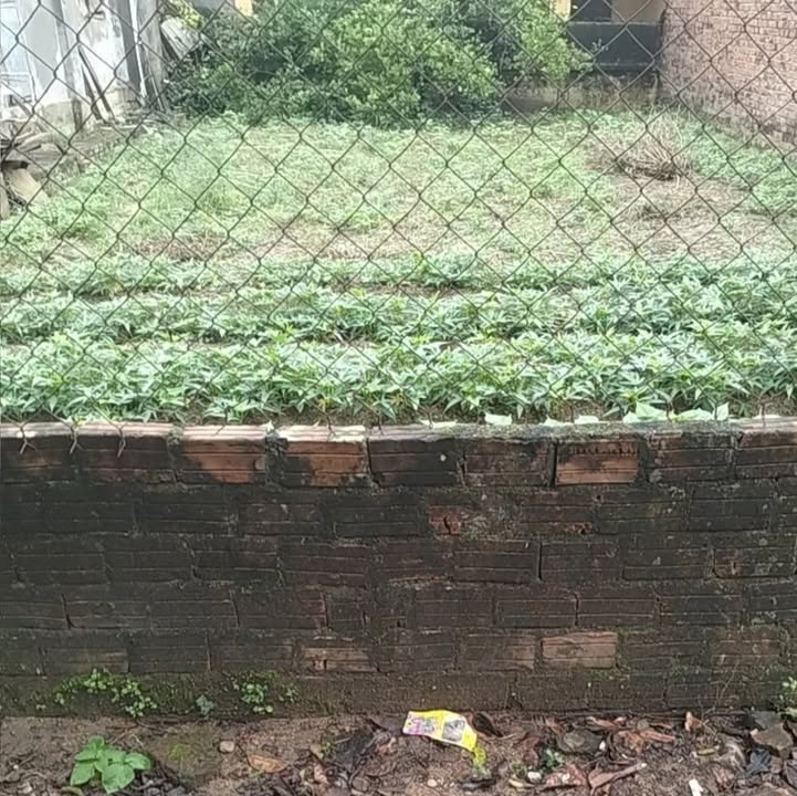 Đất Nền Điện Bàn 219m² - Sổ Đỏ Rõ Ràng, Giá Tốt