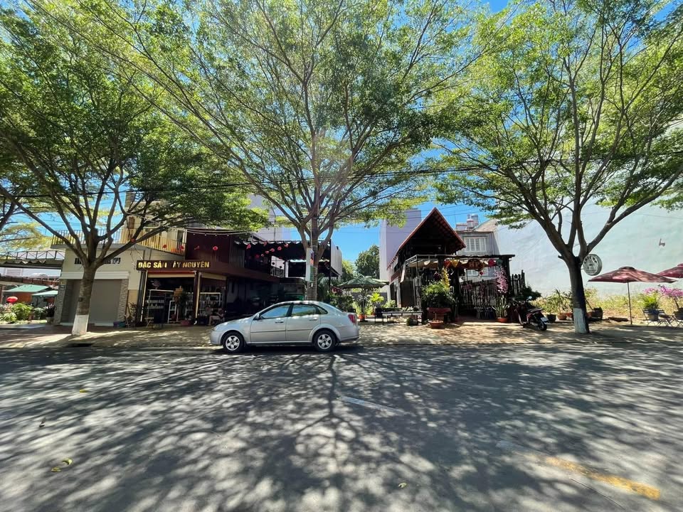 Nhà Gỗ Mặt Tiền Văn Tiến Dũng, BMT - 120m² Thổ Cư 100% - Giá Tốt